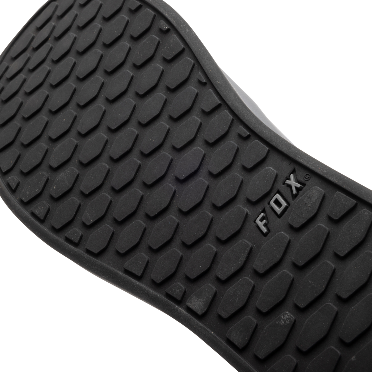 Fox Union Canvas Shoes