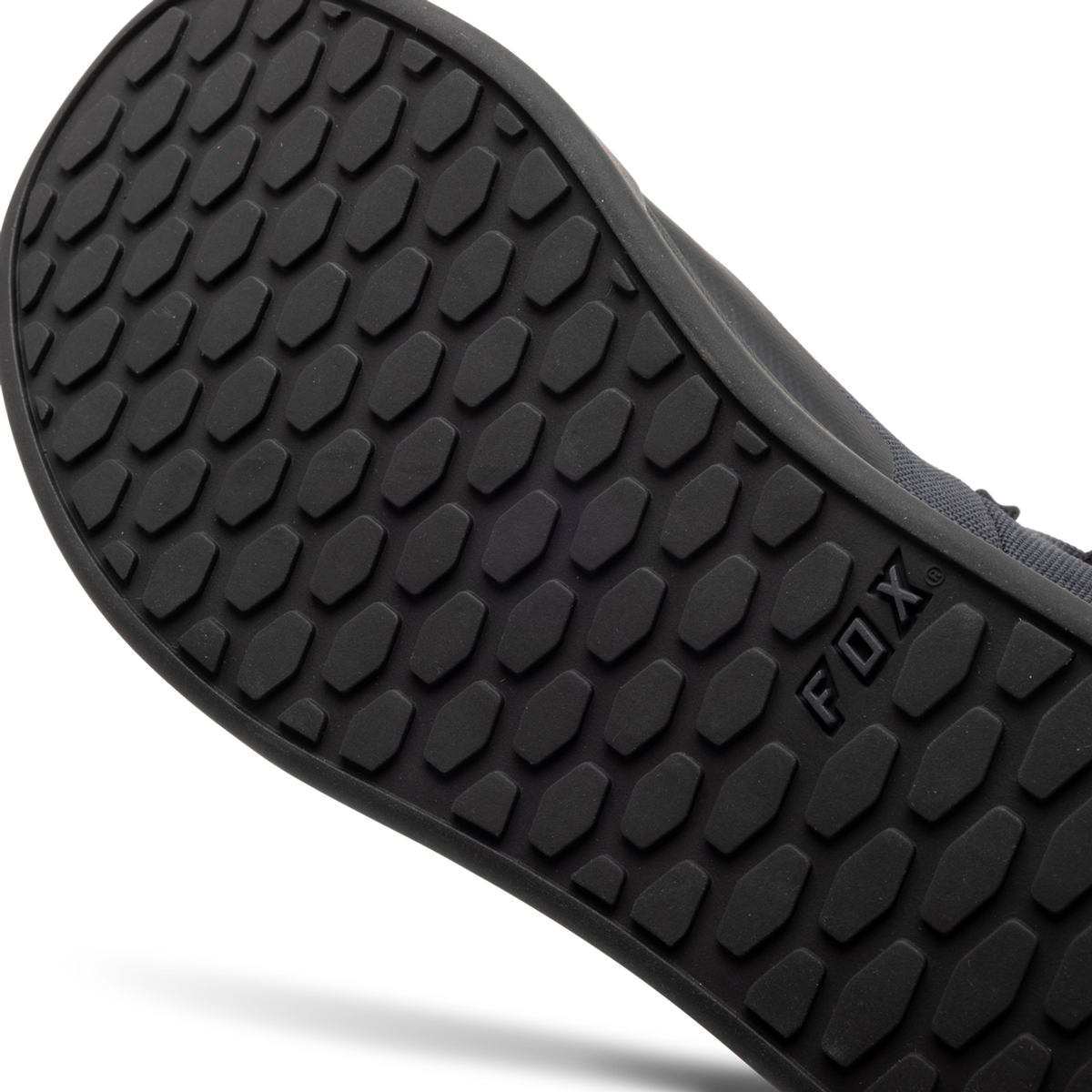 Fox Union Canvas Shoes