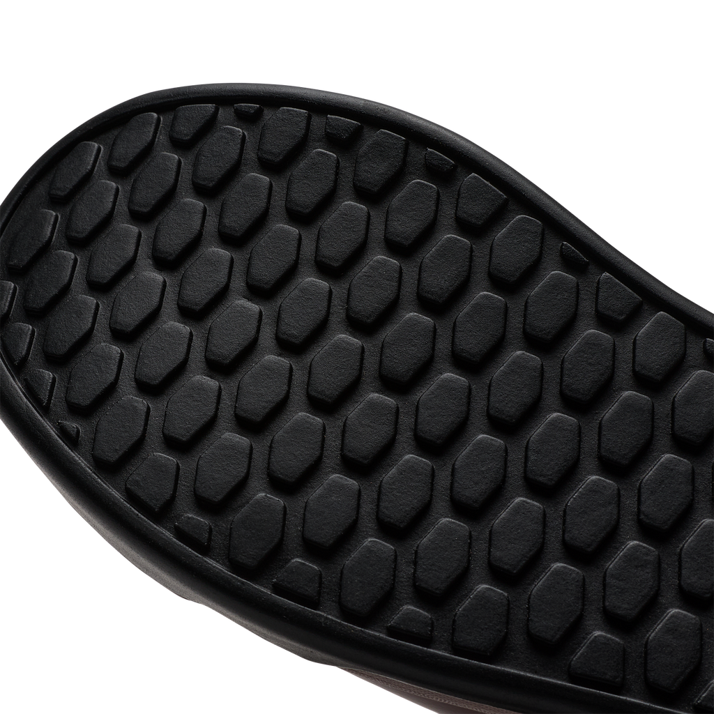 Fox Union Canvas Shoes