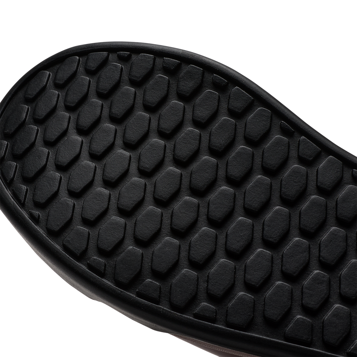 Fox Union Canvas Shoes